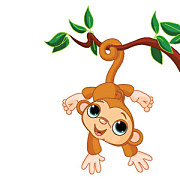 Fototapeta Detská - Opička 5202 - samolepiaca na stenu
